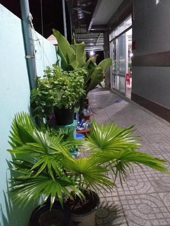 Nha Nghi Nguyen Anh Hotel Long Hai Buitenkant foto